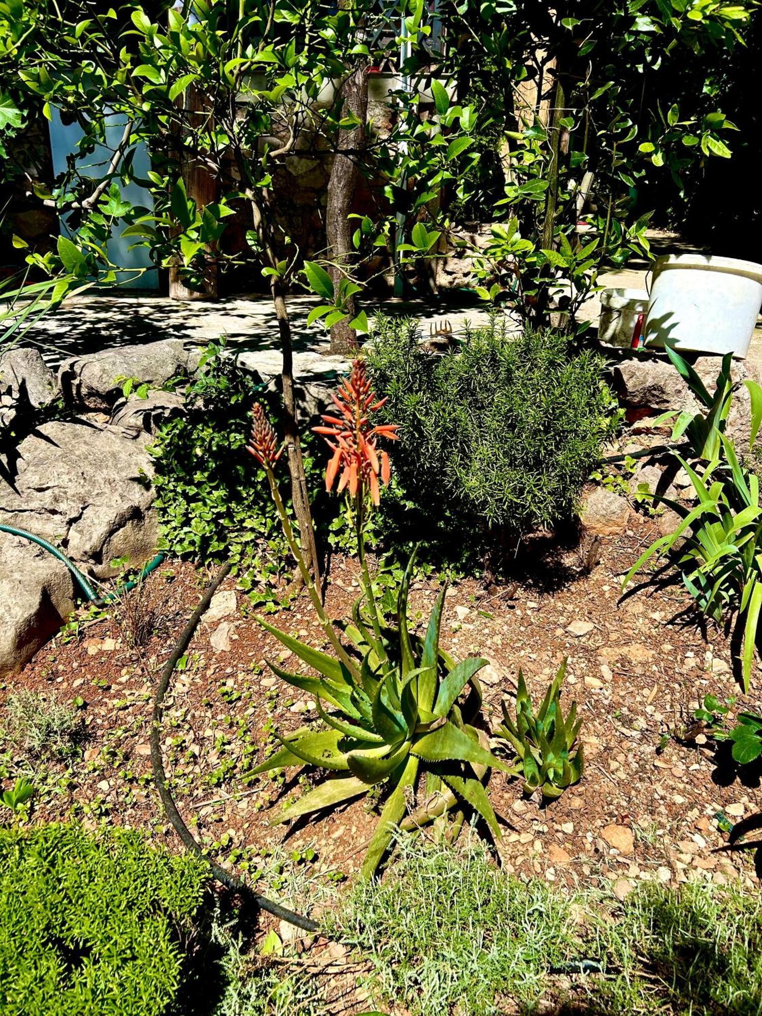 Beach House Starigrad Paklenica Extérieur photo